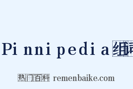 Pinnipedia组词是什么意思的图片
